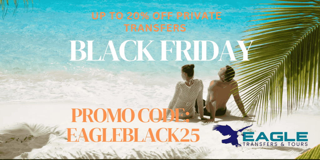 Black Friday Special Sale